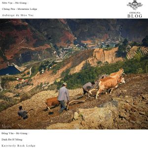 Ha Giang Loop Safety Guidelines