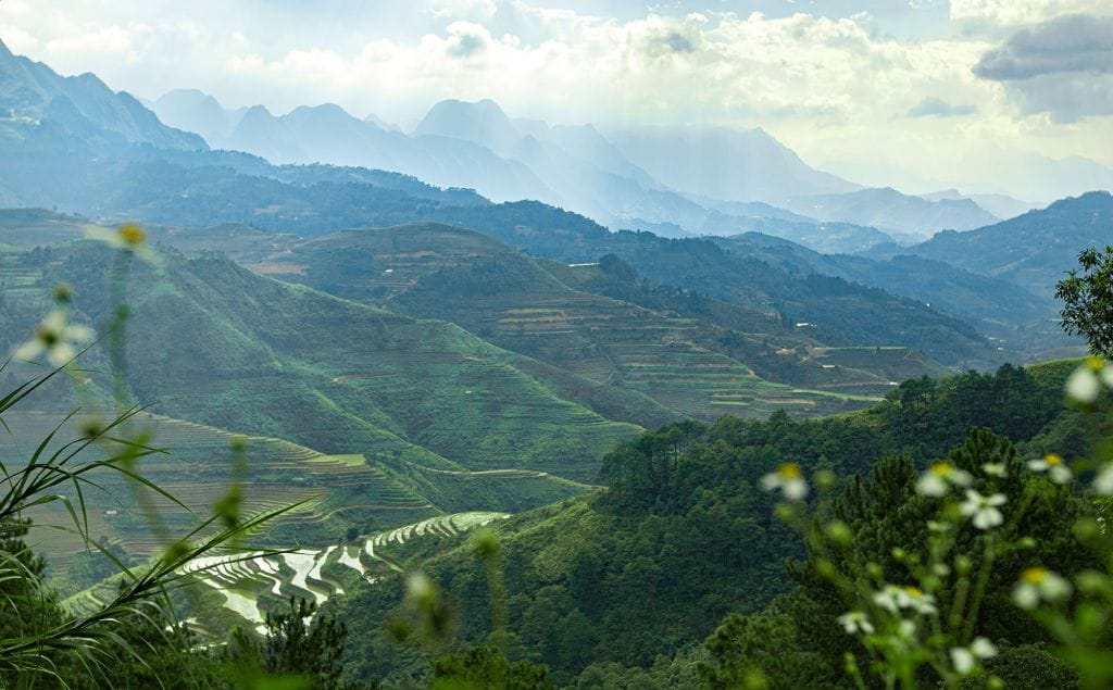 lao van chai Dong Van