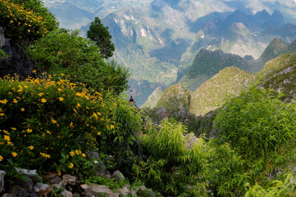 Mùa hè trên đèo Mã Pì Lèng, Mèo Vạc