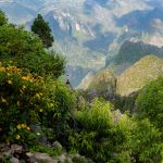 Mùa hè trên đèo Mã Pì Lèng, Mèo Vạc