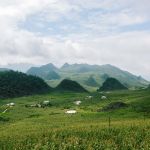 Cánh đồng trên đường vào Khâu Vai