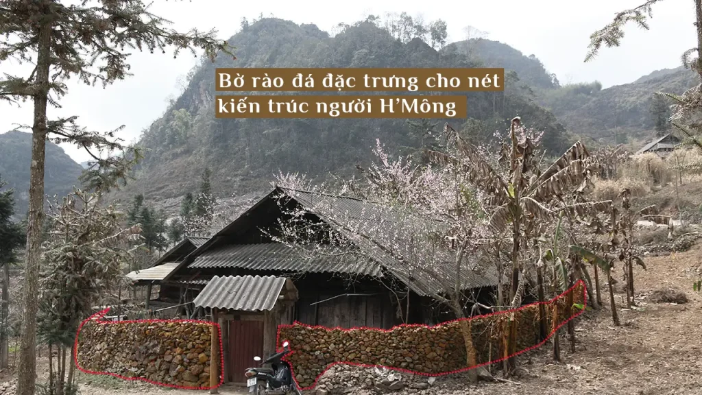 Tuongda netvanhoahmong